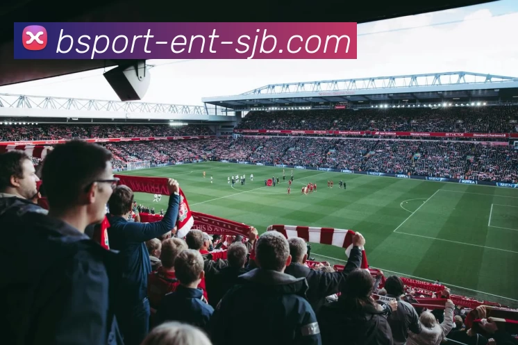 B体育娱乐，B体育娱乐，B体育官网，B体育综合平台，B体育APPAPP 封面图